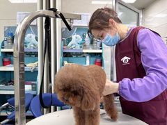 -北京观赏动物医院·24小时大型综合·猫专科·异宠专科