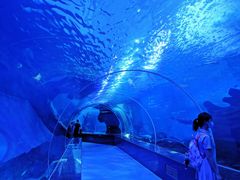 -多彩贵州城极地海洋世界