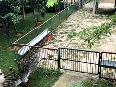 -柳州市动物园