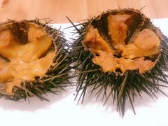 -海胆小馆(东北水饺·春柳店)