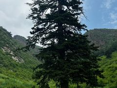 -灵山