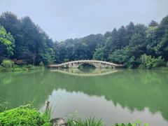 -铁山坪森林公园