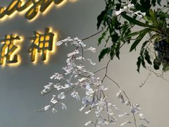 -花神·轻食简餐·咖啡馆·花卉绿植(荷兰花卉小镇店)