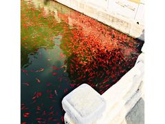 -国家植物园