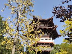 -武汉园博园(武汉自然博物馆)
