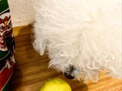 -MOI COFFEE(江山汇悦山府店)