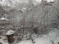 -陆地游轮吉林神农温泉