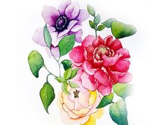 -八哥美术·成人美术画室(总校区)