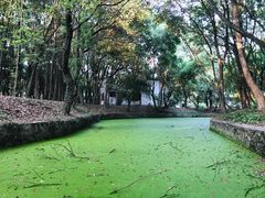 -东湖落雁景区