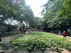 -绍兴鲁迅故里·沈园景区