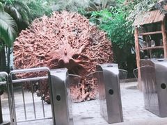 -龙达温泉生态城