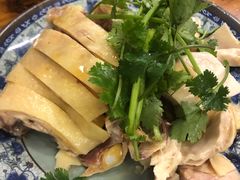 -九斤黄三黄鸡专卖店