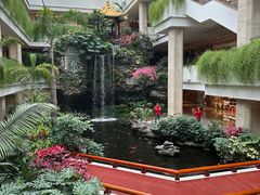 -广州白天鹅宾馆