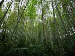-千泷沟大瀑布旅游区