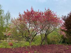 -宝界山林公园