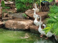 -厦门日月谷温泉渡假村