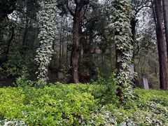 -黑龙潭公园