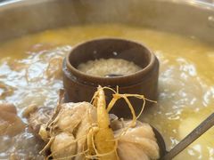 -朴小妹人参鸡汤火锅(长白山万达店)