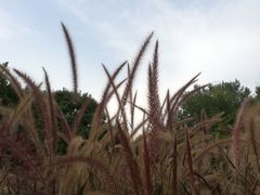 -上海植物园-4号门售票处