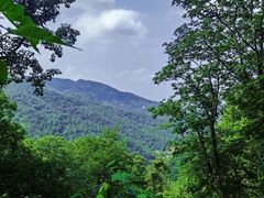 -素山寺森林公园