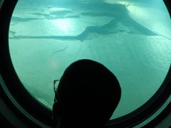 -白鹤梁水下博物馆