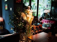 -咖法森林·咖啡  酒吧(天河店)