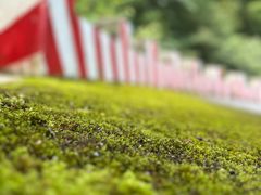 -陕西省红河谷森林公园