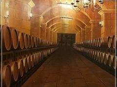 -北京张裕爱斐堡酒庄