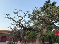 -北京市劳动人民文化宫(太庙)