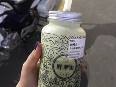-野萃山·潮汕厚果汁(十亩地店)