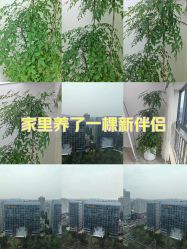 -HEYAN荷妍专业脱毛连锁机构