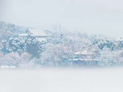 -博雅塔