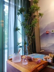 -觅境SPA·私享空间