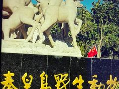 -秦皇岛野生动物园