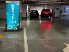 -碧澄保健(东风西路店)
