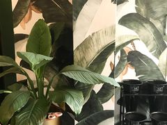 -So Acai(天河店)