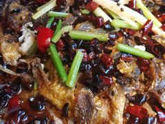 -老板恋上鱼(恒隆广场店)