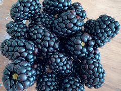 -顶好快餐(市府店)