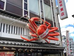 -蟹道乐(道顿堀本店)