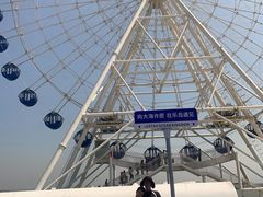 -秦皇岛乐岛海洋王国