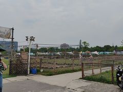 -上海山野camping·户外天幕烧烤·团建拓展营地