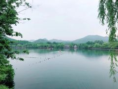 -海底捞火锅(大融城店)