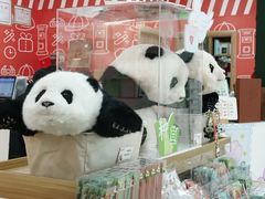 -熊猫邮局(少城店)