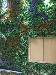 -星豆豆儿童摄影(南郊太白南路店)