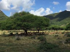 -卡塞拉自然公园