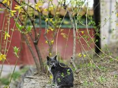 -颐和园