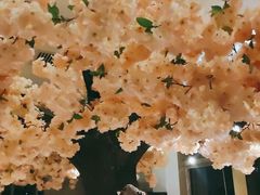 -九田家黑牛烤肉料理(珠江摩尔店)