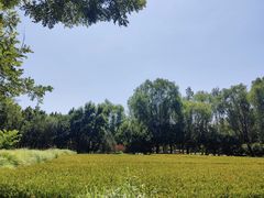 -北坞公园