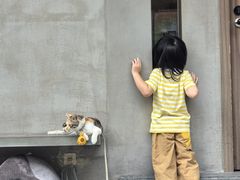 -Again Coffee Roaster(香蜜湖店)