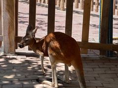 -水上乐园·欢乐世界